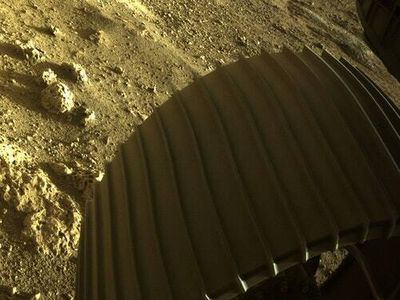 NASA Mars rover embarks on an ambitious hunt for life in ancient Martian riverbed
