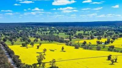 Australian agriculture offering investment opportunities for everyday people off-farm