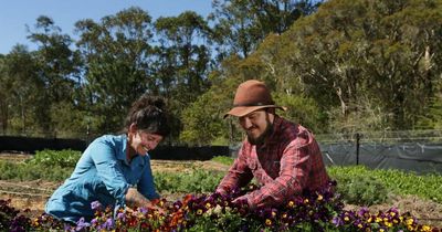 Innnovative Newcastle farmers seek lifeline due to COVID, climate