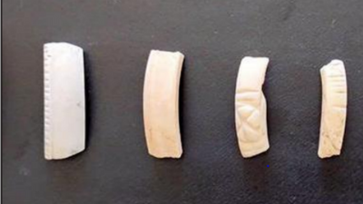 Tamil Nadu: Vembakottai dig unearths Sangam-era artefacts