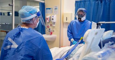 Brit tested positive for Covid for record-breaking 505 days running before death