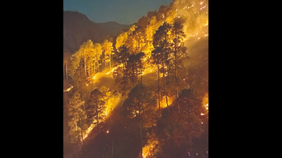 Rainfall brings some relief to forest fires in Uttarakhand hills