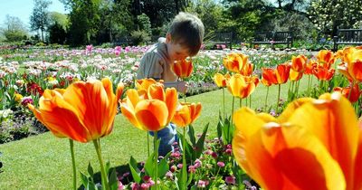 Met Office forecast promises very little rain for the rest of April