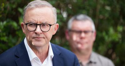 Albo's in iso but the campaign marches on