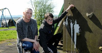 Louts daub paint in popular Lockerbie children's play park