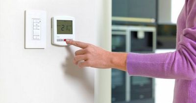 Seven tips to cut down on your energy bills and make an impact for Earth Day