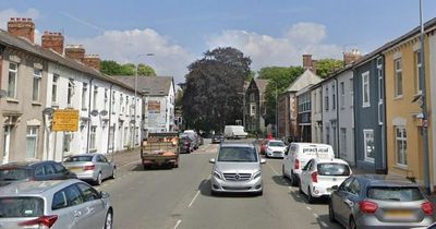 Armed police called to 'disturbance' after man sustains pellet gun injury