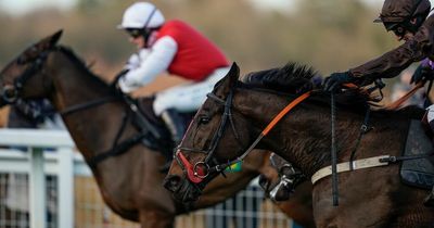 ITV Racing tips: Sandown, Haydock and Leicester selections for Saturday's live action