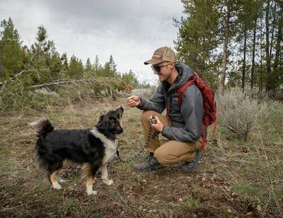 If you’re dog is a picky eater, air-dried dog food could be the answer