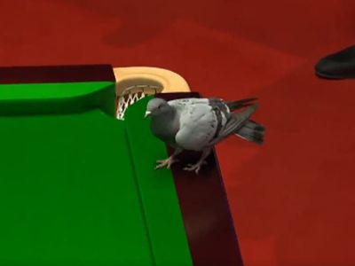 Pigeon stops World Snooker Championship match after landing on table at the Crucible
