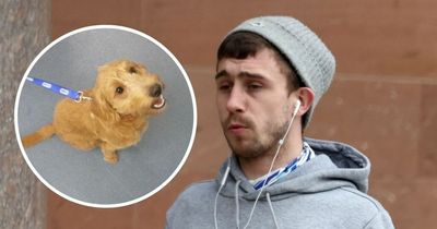 Newcastle man swung puppy by its neck and hung it over fence by its collar in 'sickening' abuse