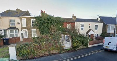 House so overgrown with shrubs, trees and vines neighbour 'forced' to build new wall