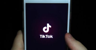 GMP investigating 'abhorrent' viral TikToks after woman targeted TWICE in four days