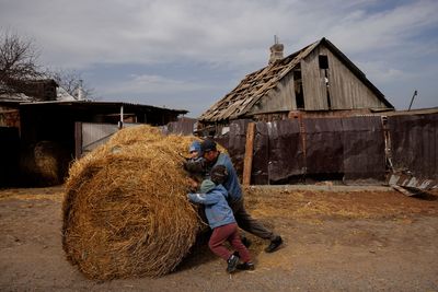 What Russia’s advance in east Ukraine means for food security