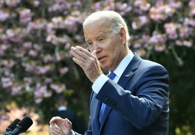 Biden protects US forests but struggles on biggest climate goals