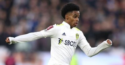 Leeds United U23s player ratings: Sean McGurk and Crysencio Summerville shine in narrow defeat