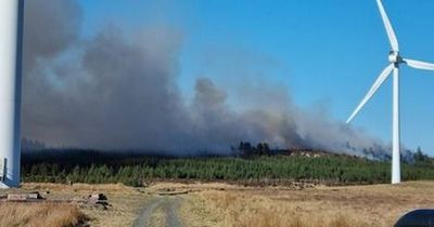 Dozens of firefighters tackling huge wildfire in Northumberland woodland