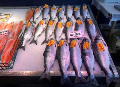 Japan, Russia sign fishing deal despite Ukraine tensions