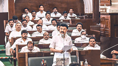 Tamil Nadu: More sops for rural local bodies