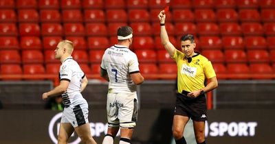 Nigel Owens column: Rugby can't paper over acts of thuggery and we must improve citing system