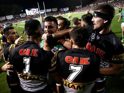 We don't aim to provoke Raiders: Panthers