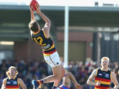 Crows upset Bulldogs in AFL thriller