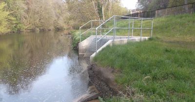 Glasgow resident spots 'foul effluent' flowing into River Kelvin near to Botanic Gardens