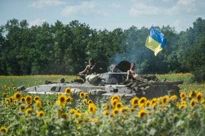 Iceland rations sunflower oil sales to one bottle per customer as supplies are hit by Ukraine war