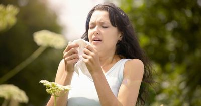 Hay fever symptoms - expert tips to tackle allergies as pollen season arrives