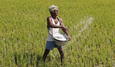 NABARD Report: Farm loan waivers no long time solution for farmers’ agony