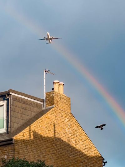 ‘The bird was complete luck’: Josh Edgoose’s best phone picture