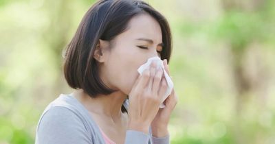 Hot drink that can help anyone suffering with hay fever