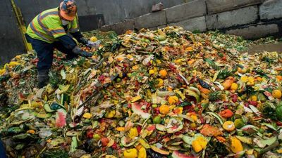 California's New Food Waste Law Is Backfiring