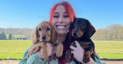 Stacey Solomon's Pickle Cottage pool is almost complete as she shares update