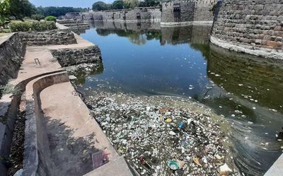 Large number of fish found dead in moat in Vellore fort