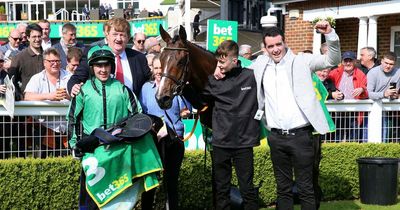 Shark Hanlon reveals the secret to buying £800 bargain Hewick after Bet365 Gold Cup win