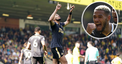 'I will remember this day forever' - Joelinton's joy at Newcastle United brace in Norwich victory