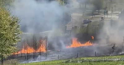 Wildfire breaks out near Glasgow retail park as fire crews race to scene