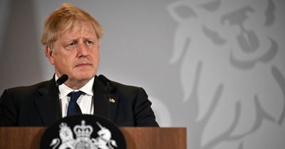 'Boris Johnson's excuses are now so entertaining, we're at last getting value from him'