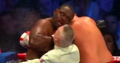 Tyson Fury's brother throws water on Dillian Whyte during fight