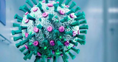 Lake Macquarie woman among eight NSW COVID deaths