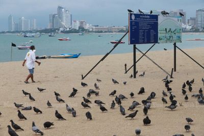 Dropping of Test and Go scheme expected to boost tourism sector in Pattaya