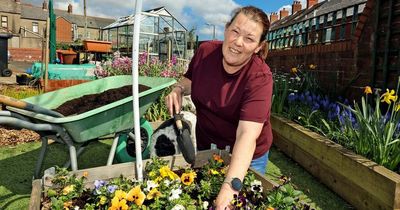 North Belfast women turn derelict dumping ground into thriving community garden