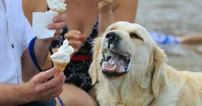 Ireland weather: Met Eireann's unusual forecast and 'high risk' warning as 'mini heatwave' continues