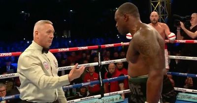 Tyson Fury pleaded with ref to stop Dillian Whyte fight after brutal knockdown