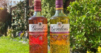 'I tried Gordon’s two new summer gins - and one tasted like Haribo Tangfastics'