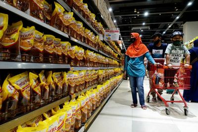 Indonesian farmers support palm oil export ban