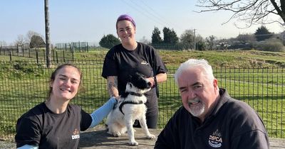 Kellie Harrington partners with DSPCA 'for the love of our beloved animals'