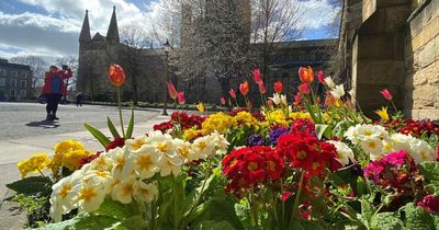 North East weather: Hour by hour as sunny day ends off the weekend