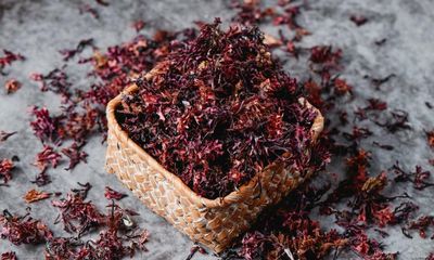 Richard Corrigan’s secret ingredient: seaweed